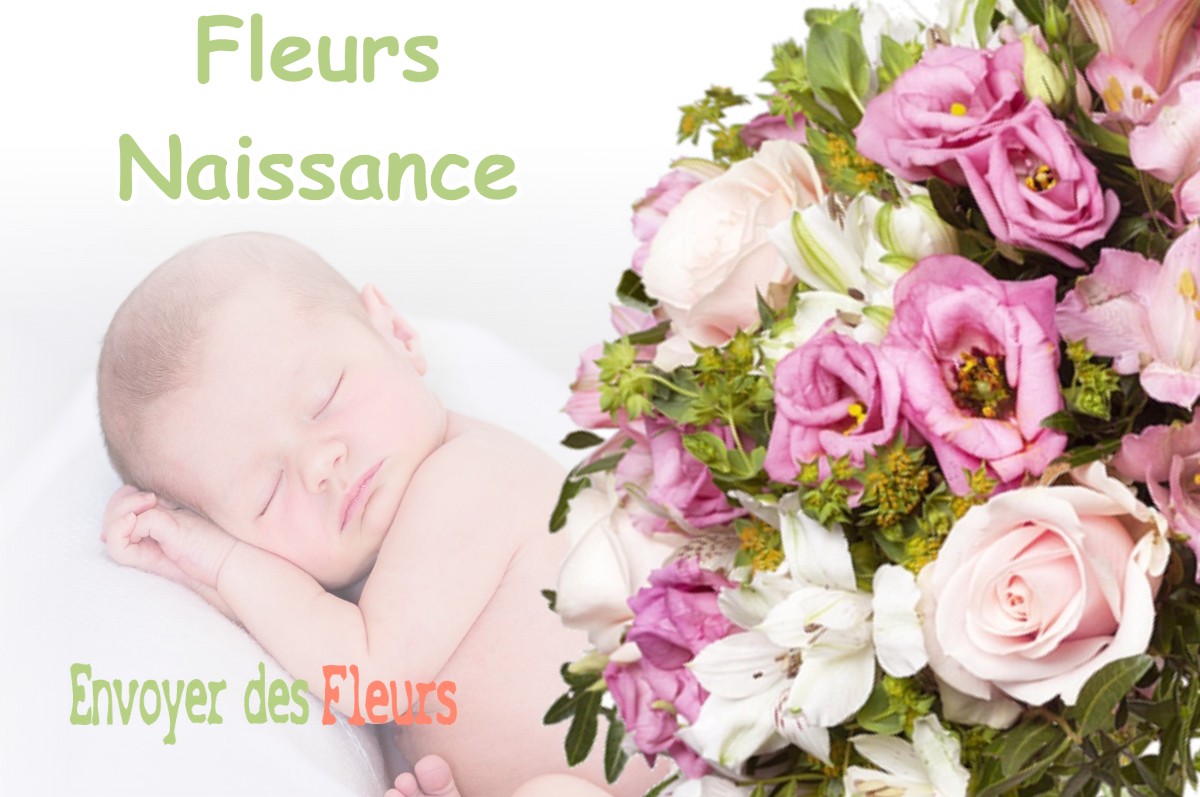 lIVRAISON FLEURS NAISSANCE à VAULNAVEYS-LE-HAUT